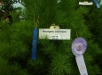 Reserve Grand Champion tree from MN State Fair.