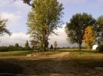 The tree display area in early fall.