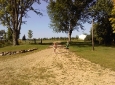 4th generation Krueger's having fun.