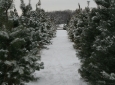pics-034