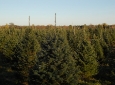 august-2010-superior-trail-030-resize
