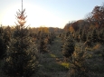august-2010-superior-trail-054-resize