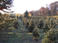 august-2010-superior-trail-062-resize
