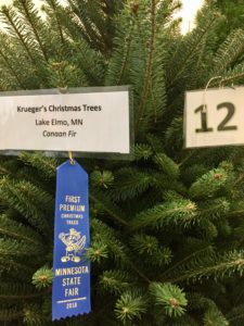 This Year We Were Awarded First Second Third And Fourth Places Across Several Categories The Trees Are Located In Large White Horticulture Building This Year We Were Awarded First Second Third And Fourth Places Across Several Categories The Trees Are Located In Large White Horticulture Building